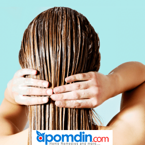 At Home Remedies For Dry Hair