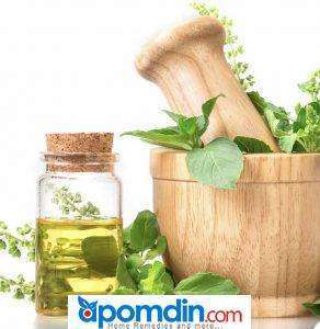 Basil For Ringworm Treatment Home Remedy