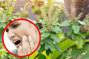 7 Home Remedies for Toothache That Actually Work