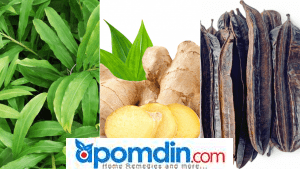 Best Herbal Remedy For Fibroid